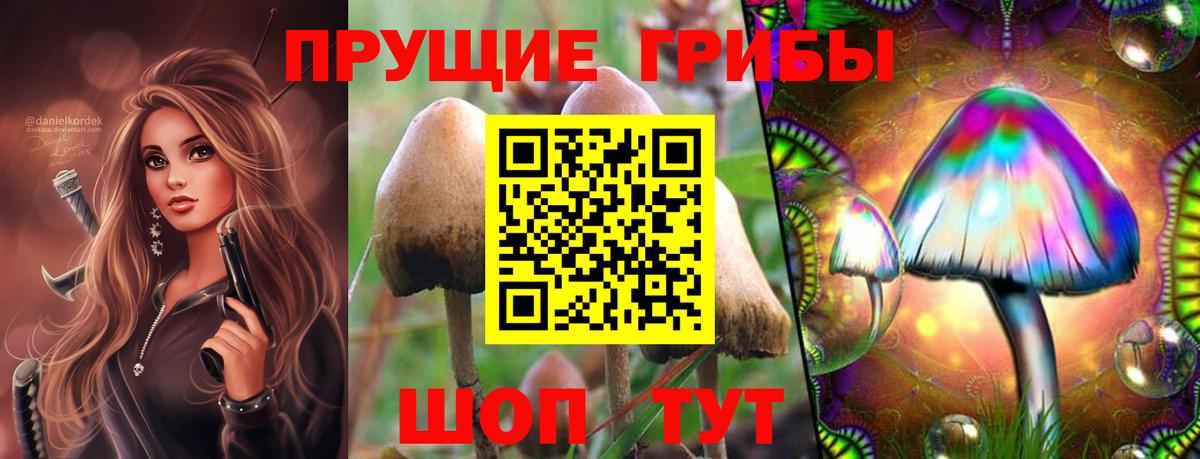 Галлюциногенные грибы GOLDEN TEACHER  Вход с VPN  Псилоцибиновые грибы Magic Shrooms  Татарск 
